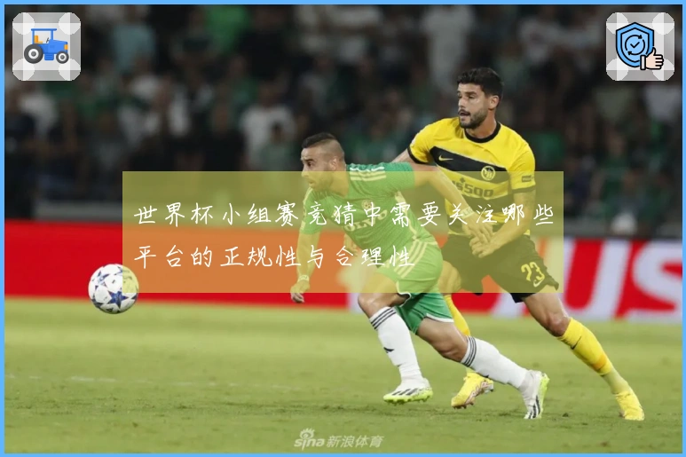 世界杯小组赛竞猜中需要关注哪些平台的正规性与合理性