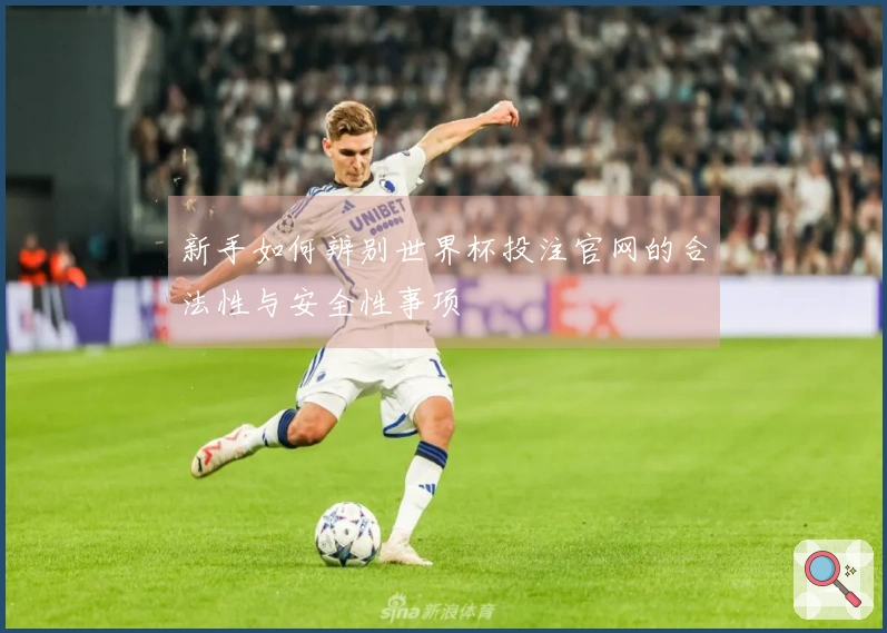 新手如何辨别世界杯投注官网的合法性与安全性事项