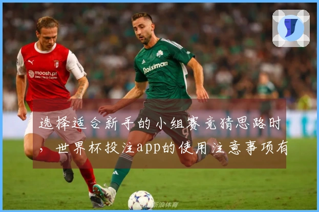 选择适合新手的小组赛竞猜思路时，世界杯投注app的使用注意事项有哪些？