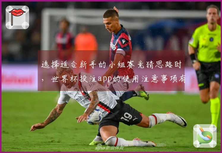 选择适合新手的小组赛竞猜思路时，世界杯投注app的使用注意事项有哪些？